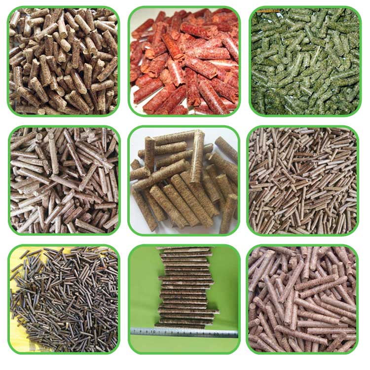 生物質(zhì)環(huán)模顆粒機設(shè)備如何生產(chǎn)顆粒燃料 生物質(zhì)環(huán)模顆粒機設(shè)備如何生產(chǎn)顆粒燃料