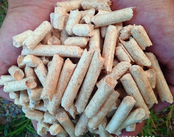 木屑顆粒機(jī)價格,木屑顆粒燃料 木屑顆粒機(jī)價格,木屑顆粒燃料