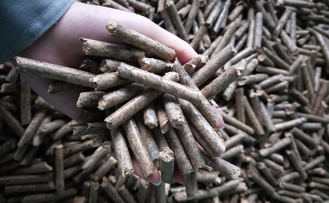 鋸末顆粒機(jī)顆粒，一種快速增長的能源載體