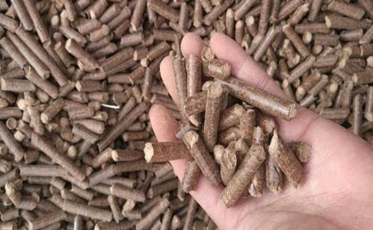 鋸末顆粒機(jī)生物質(zhì)顆粒 鋸末顆粒機(jī)生物質(zhì)顆粒