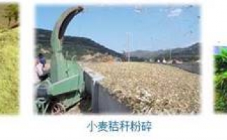 農(nóng)民科學(xué)發(fā)展新思路，秸稈綜合利用成為賺錢好門路之秸稈顆粒機(jī)
