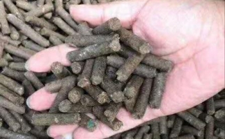 水果渣越來越受歡迎，因為它的出現(xiàn)—生物質(zhì)顆粒機設備