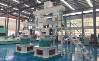 補(bǔ)貼時(shí)代，生物質(zhì)顆粒市場(chǎng)如何了呢？你想知道的在這里