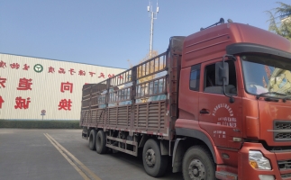 忙碌的五月，忙碌的發(fā)貨，金格瑞顆粒機(jī)生產(chǎn)線發(fā)往全國各地