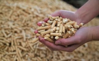 黟縣洪星鄉(xiāng)：“鋸末顆粒機(jī)的小顆粒”換來(lái)綠富雙贏(yíng)