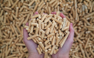 夏季儲存鋸末顆粒機(jī)生物質(zhì)顆粒的方法，要認(rèn)真看喲