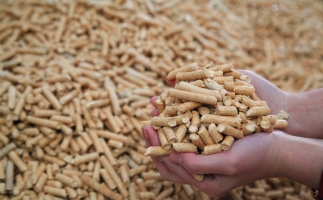 鋸末顆粒機(jī)生物質(zhì)顆粒，你需要知道的常識(shí)問(wèn)題
