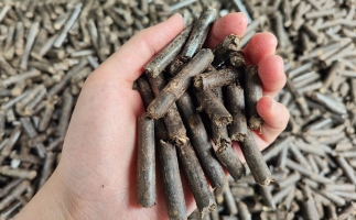 生物質(zhì)顆粒燃料公司前景怎么樣，木屑顆粒機(jī)的顆粒燃料賣給誰的？