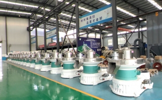 新手開(kāi)顆粒廠，該選小型還是大型木屑顆粒機(jī)？